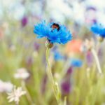 Impulse für mehr Achtsamkeit im Familienalltag