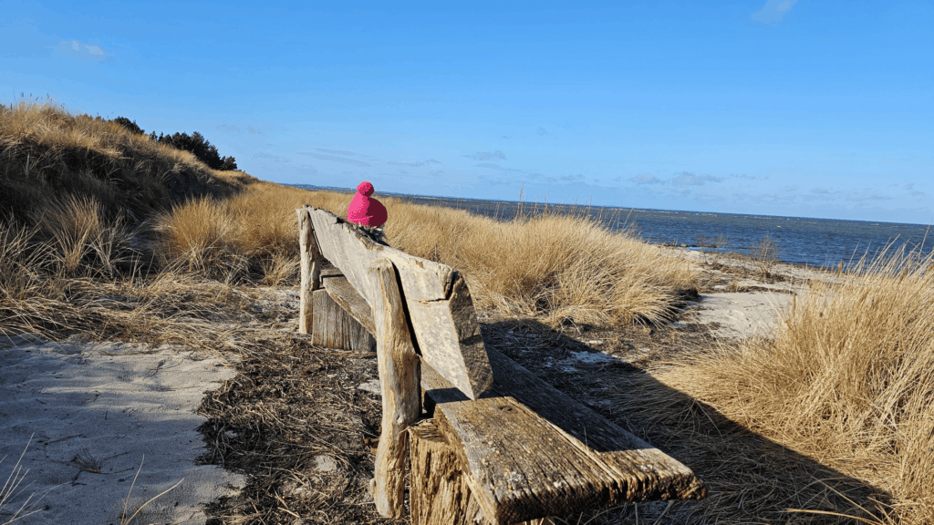 Familienurlaub in Dänemark Familienurlaub in Dänemark